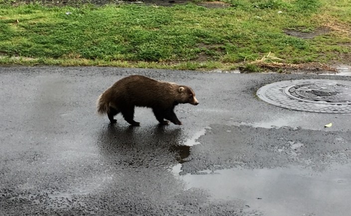 写真 2017-04-06 9 52 21.jpg