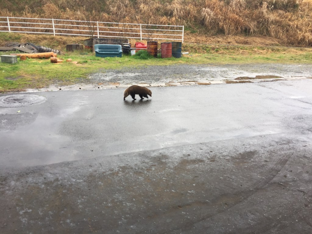 写真 2017-04-06 9 52 32