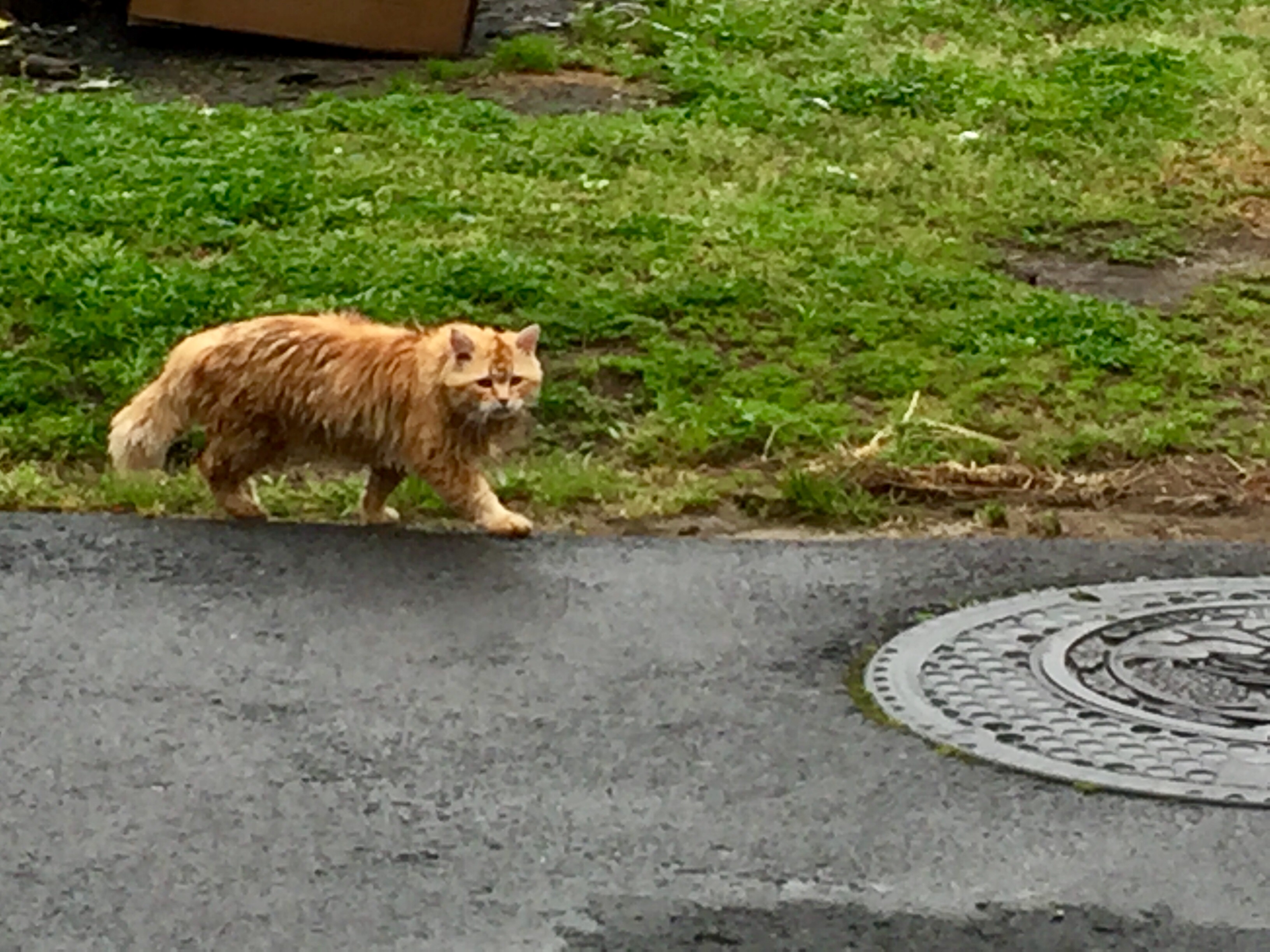 写真 2017-04-07 8 31 18