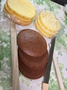 写真 2017-04-15 18 16 57