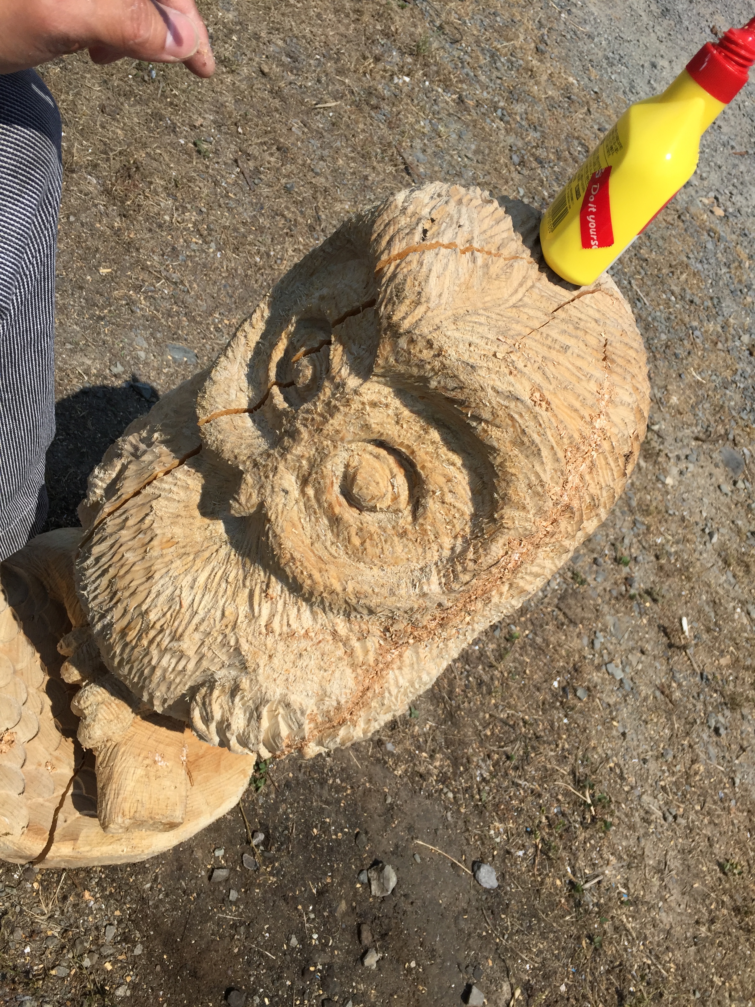 写真 2017-05-22 13 56 33