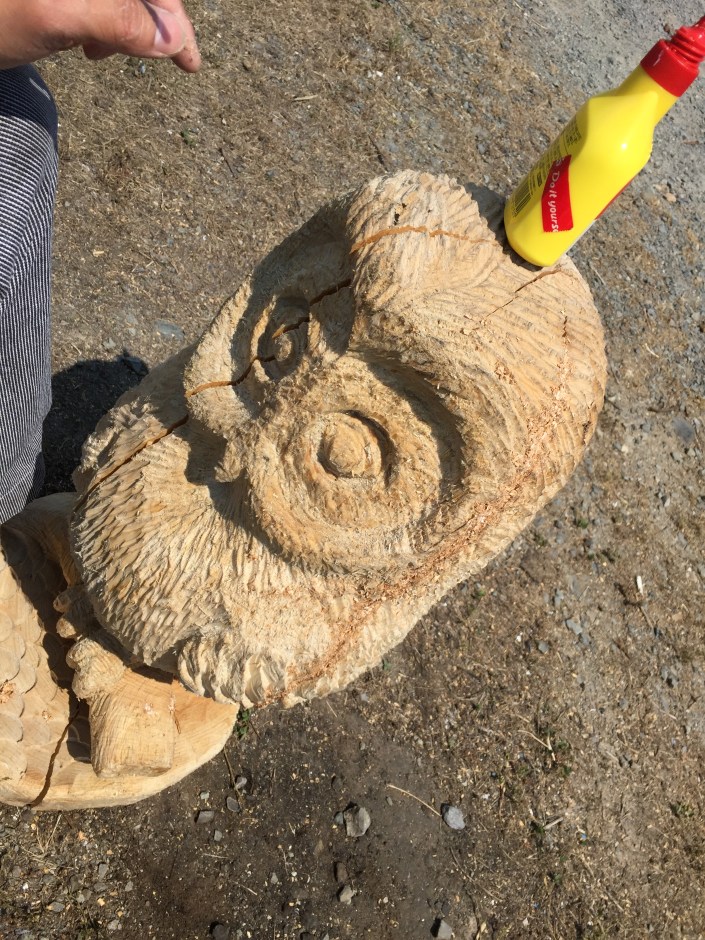 写真 2017-05-22 13 56 33