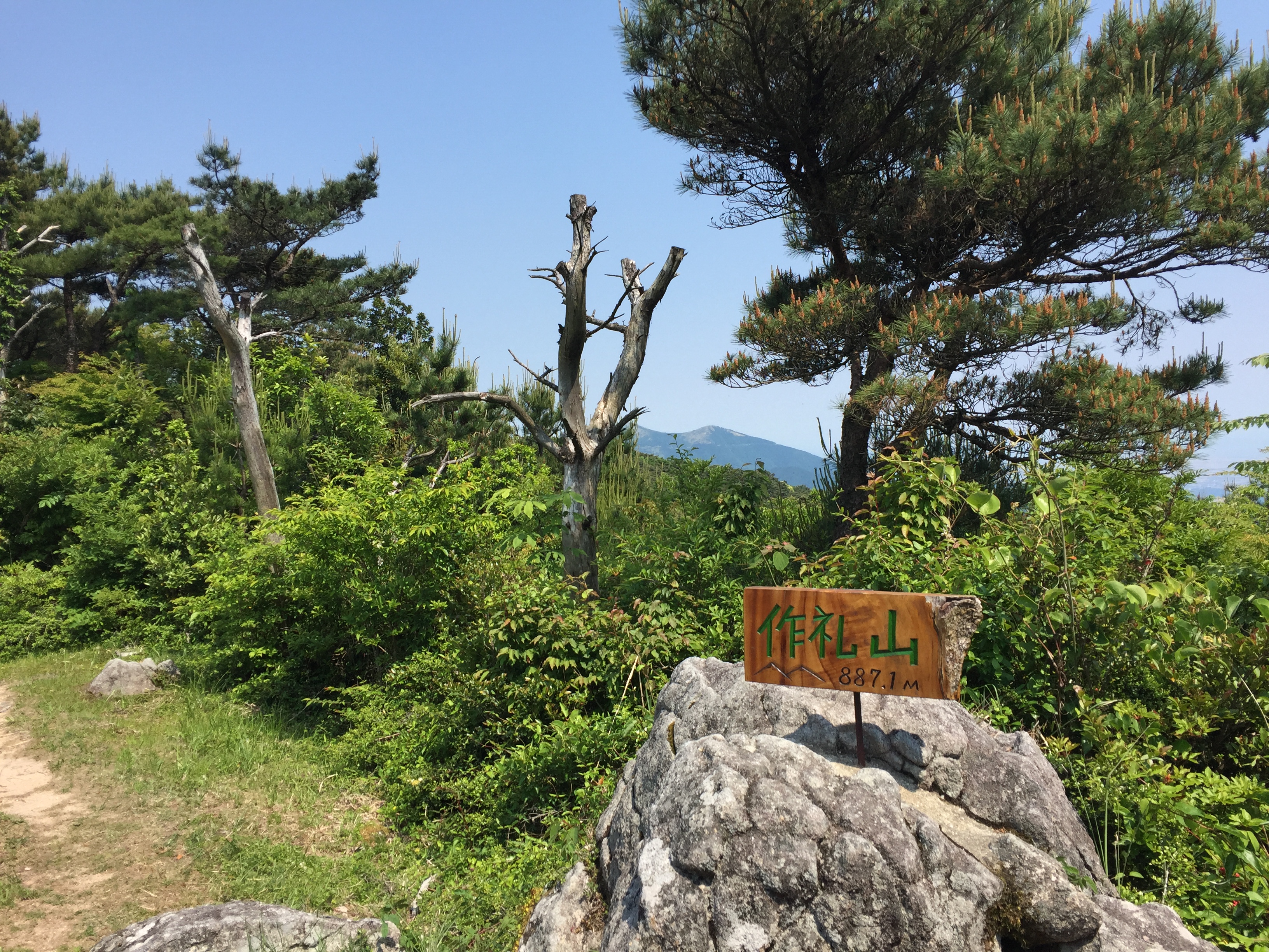 写真 2017-05-28 14 17 43