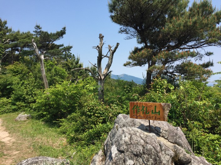 写真 2017-05-28 14 17 43