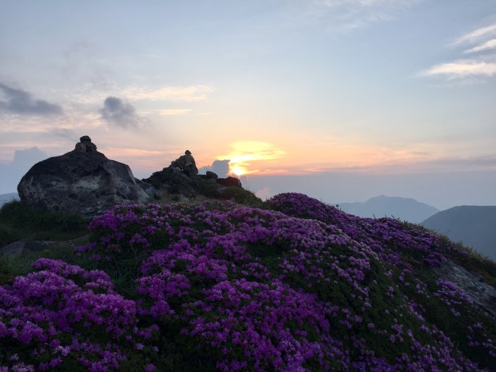 写真 2017-06-18 5 24 45