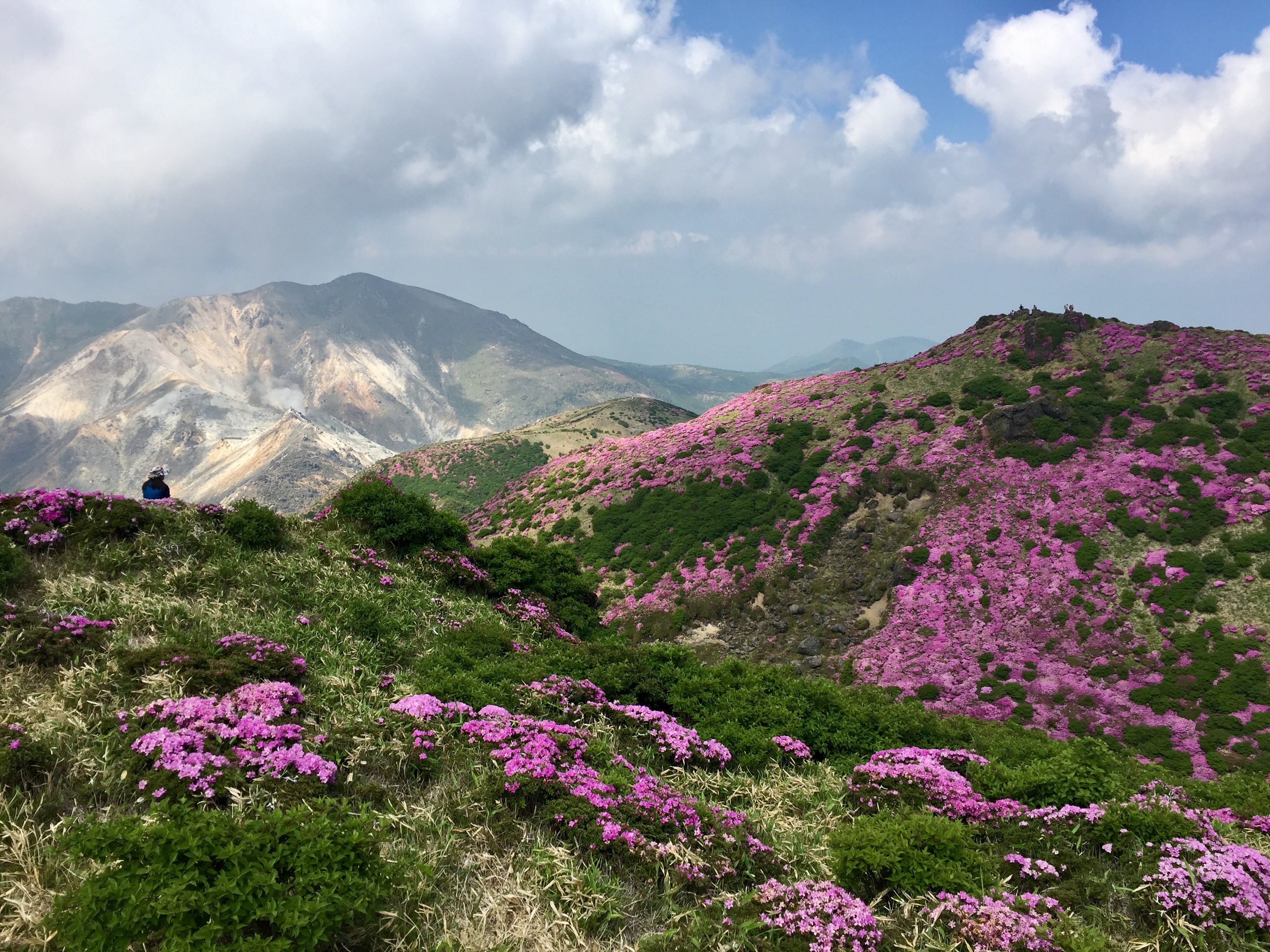 写真 2017-06-18 9 57 32