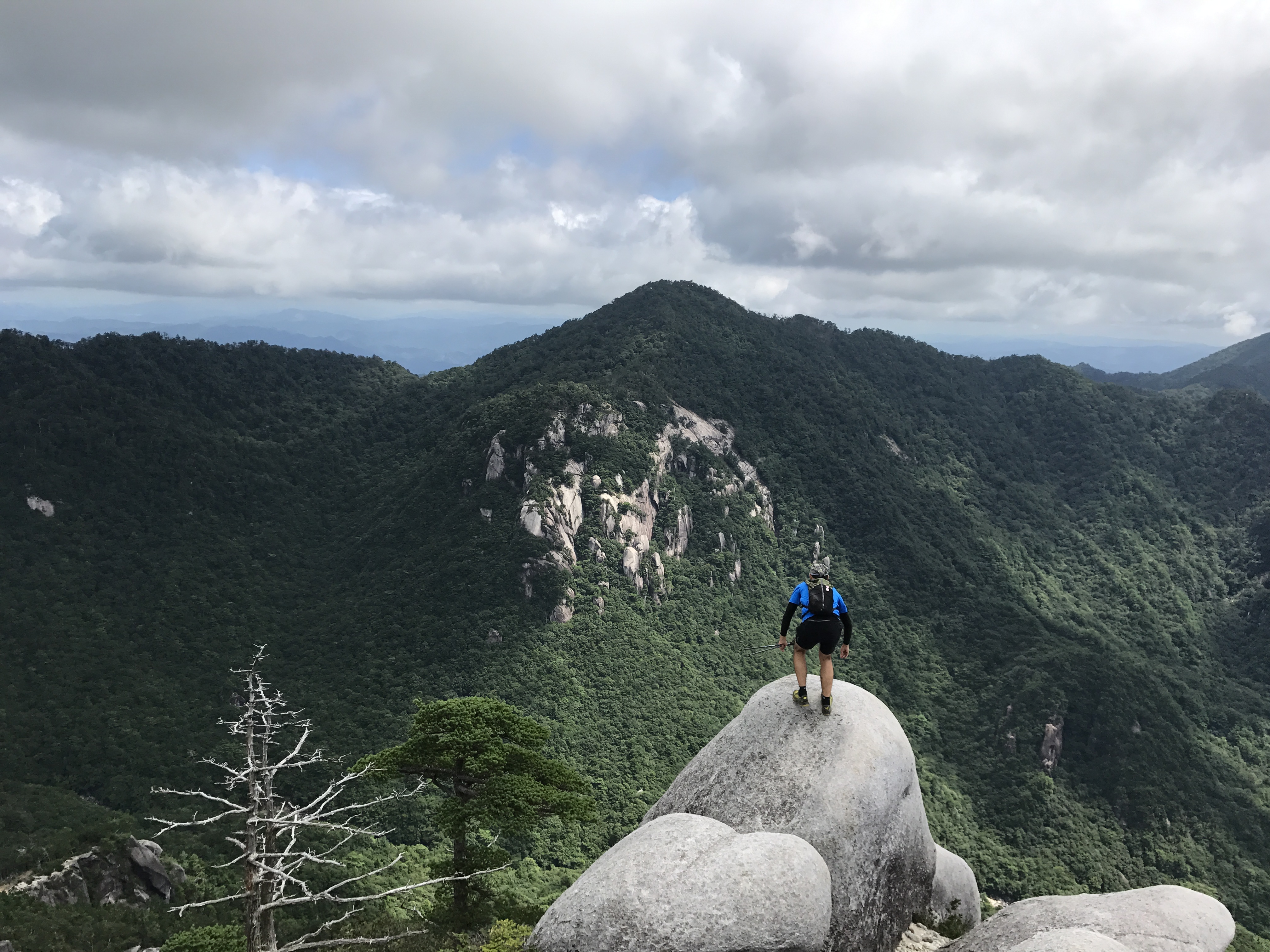 写真 2017-08-12 11 04 46