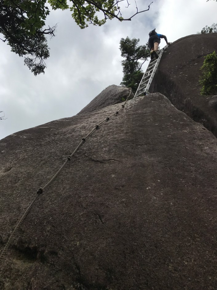 写真 2017-08-12 11 29 34