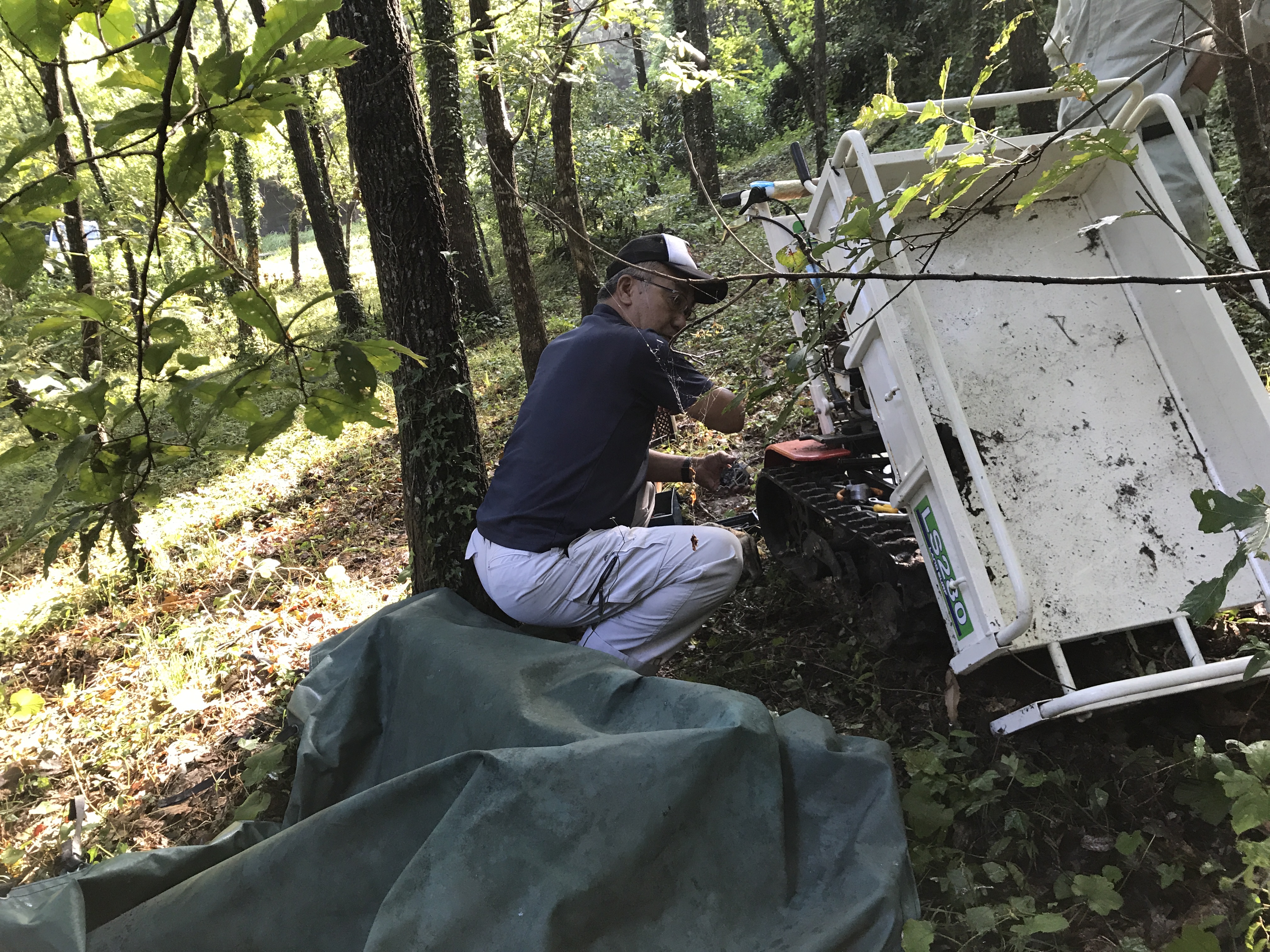 写真 2017-09-08 9 10 05