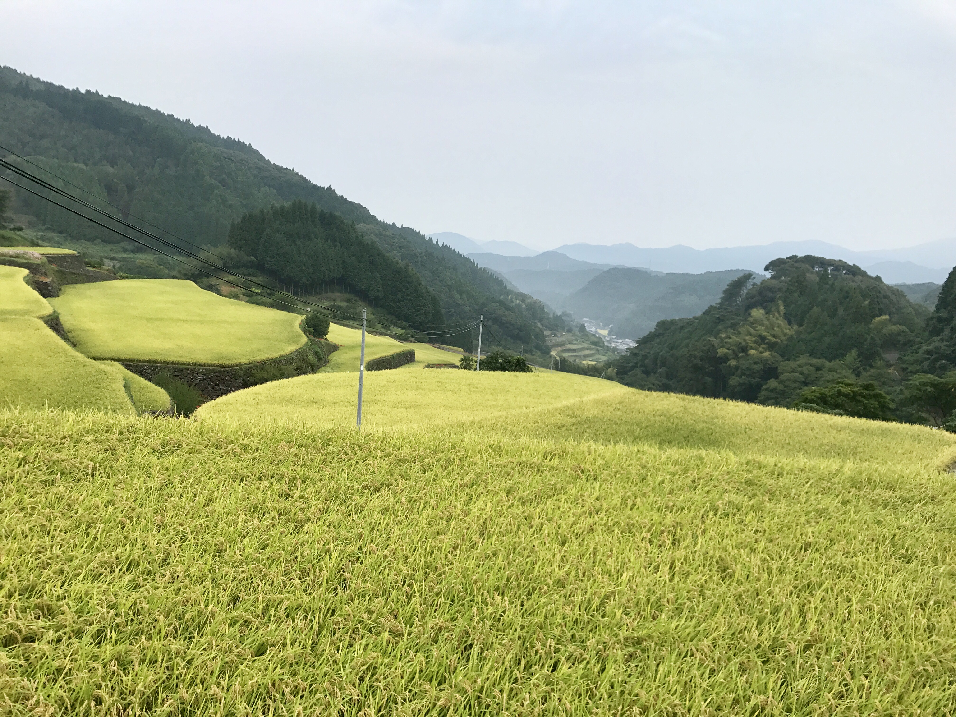 写真 2017-09-19 8 21 43 (1).jpg