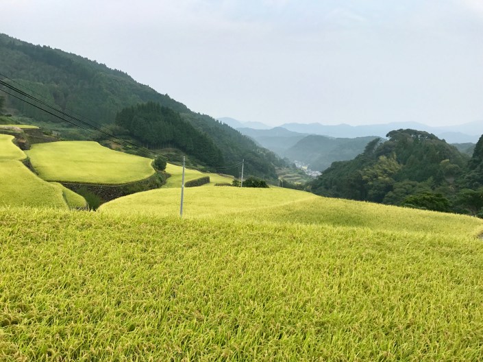 写真 2017-09-19 8 21 43 (1).jpg