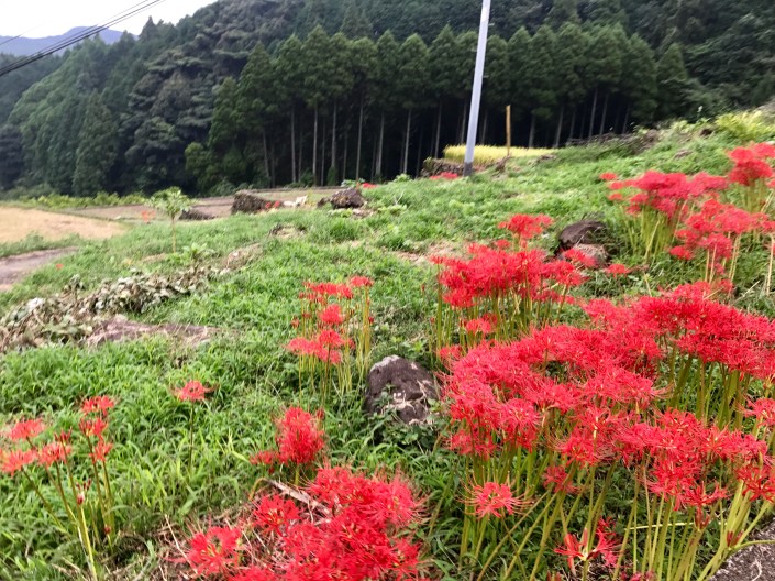 写真 2017-09-19 8 22 06 (1)