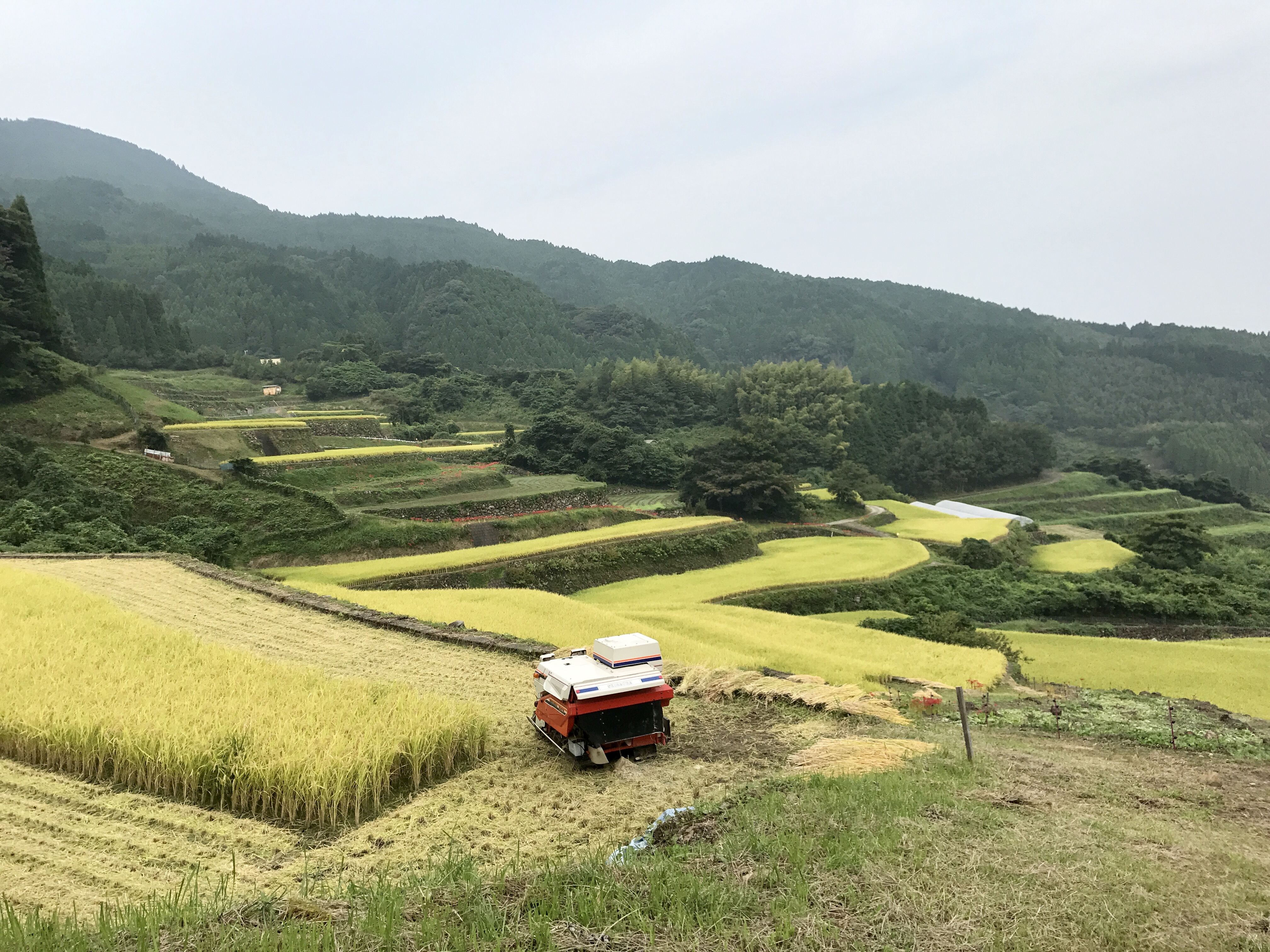 写真 2017-09-19 8 52 21