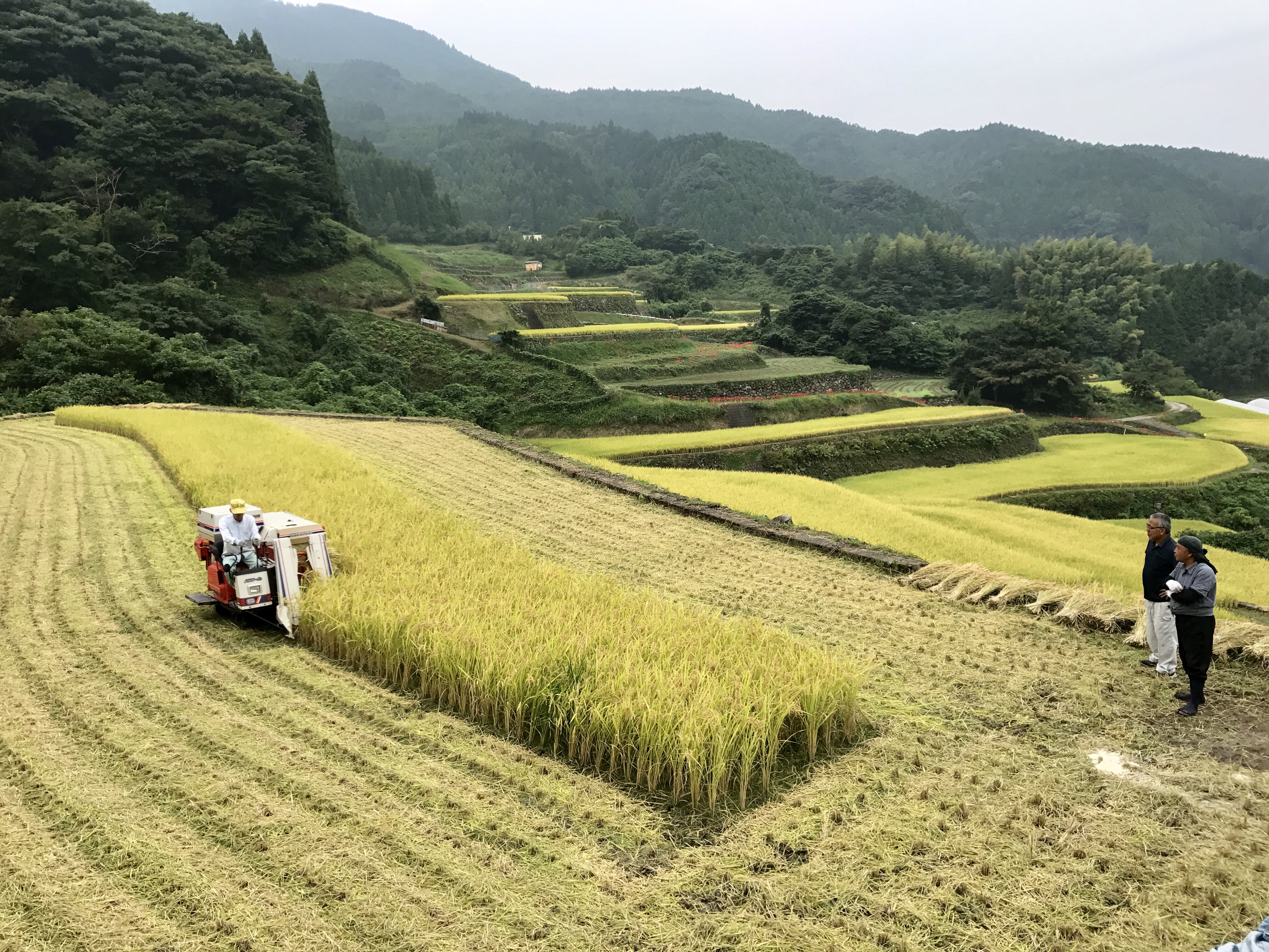 写真 2017-09-19 9 12 34.jpg