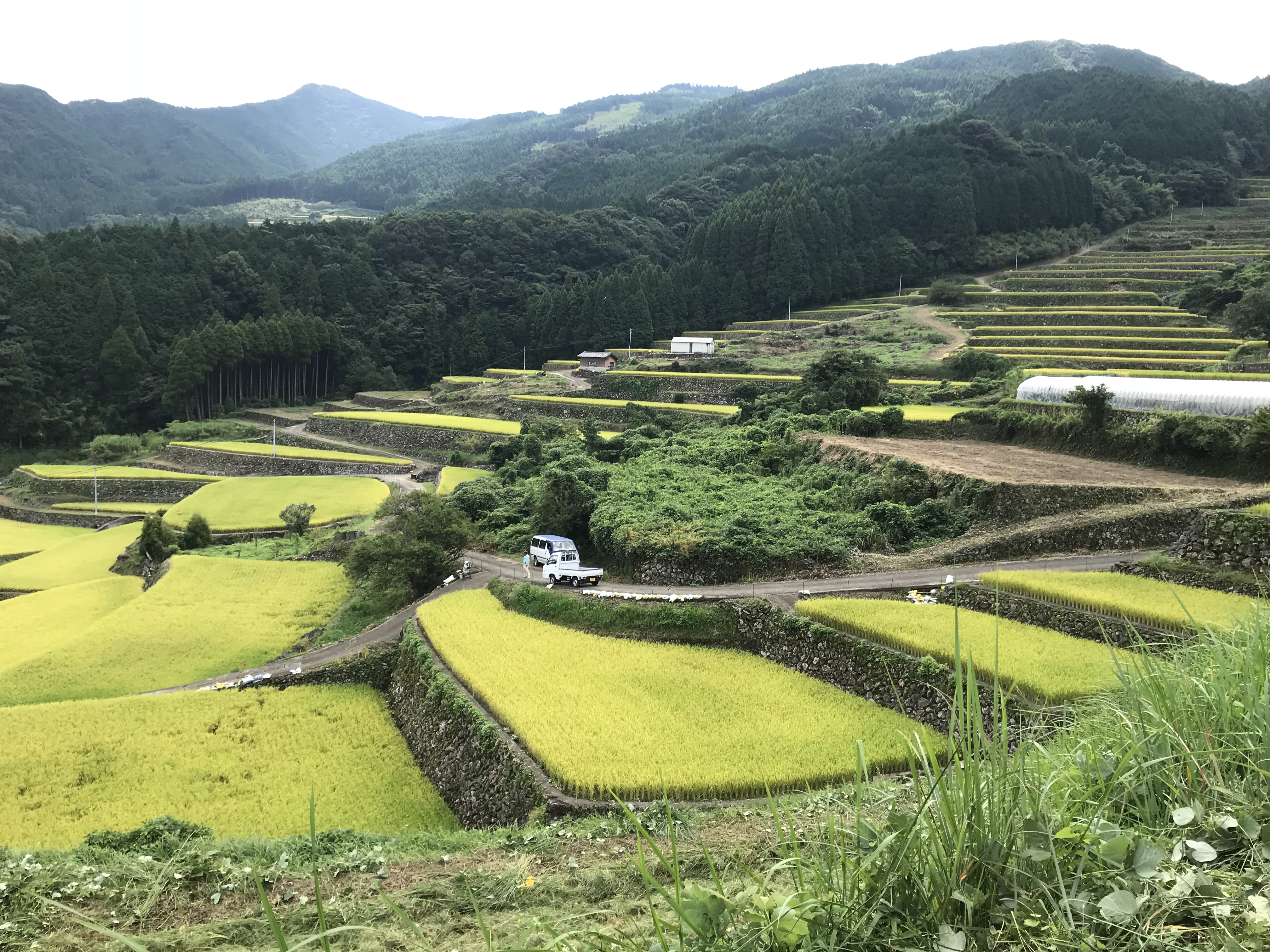 写真 2018-09-13 10 03 25